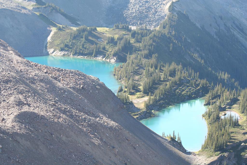 غولدن Vagabond Lodge At Kicking Horse المظهر الخارجي الصورة