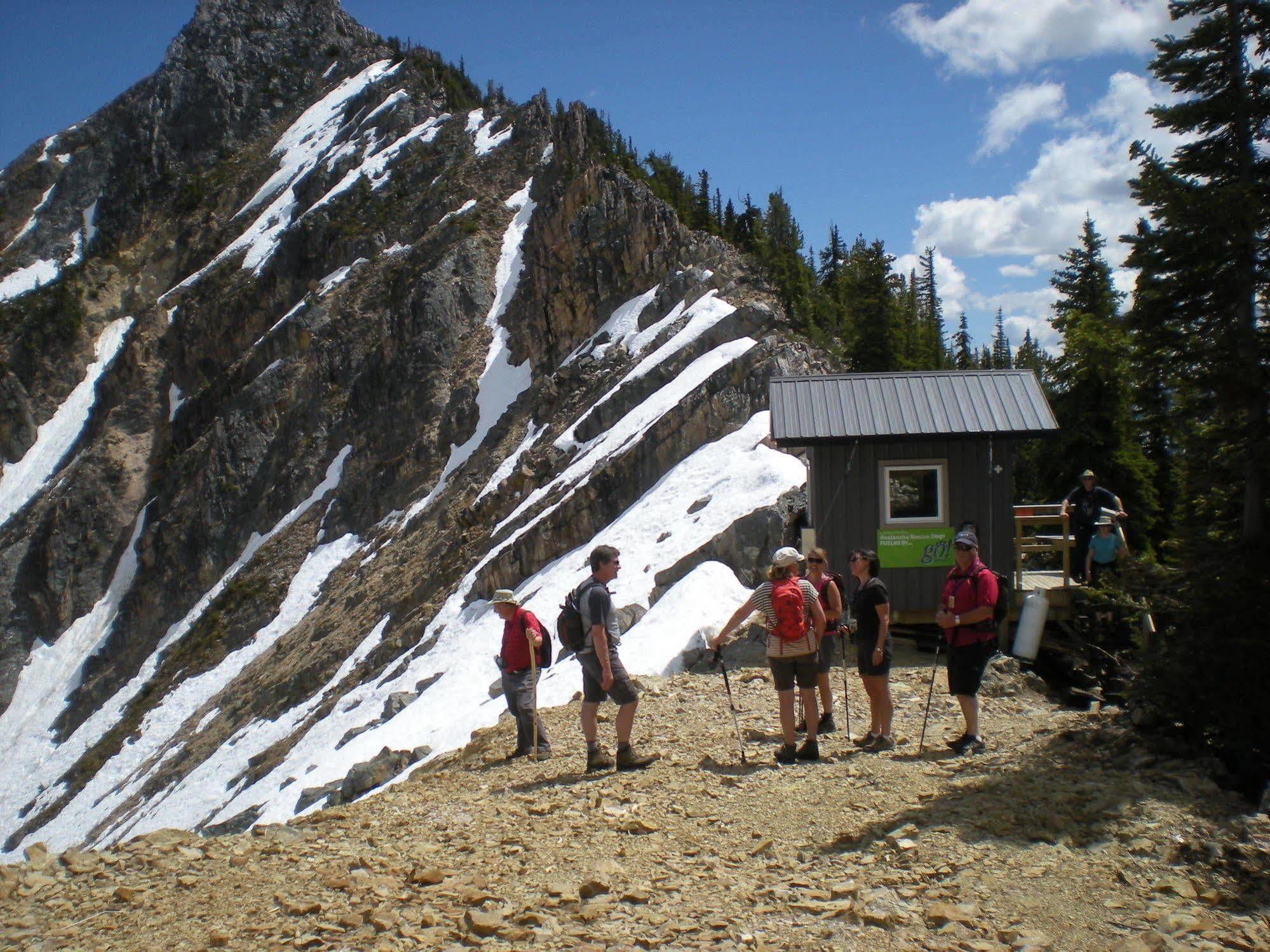 غولدن Vagabond Lodge At Kicking Horse المظهر الخارجي الصورة