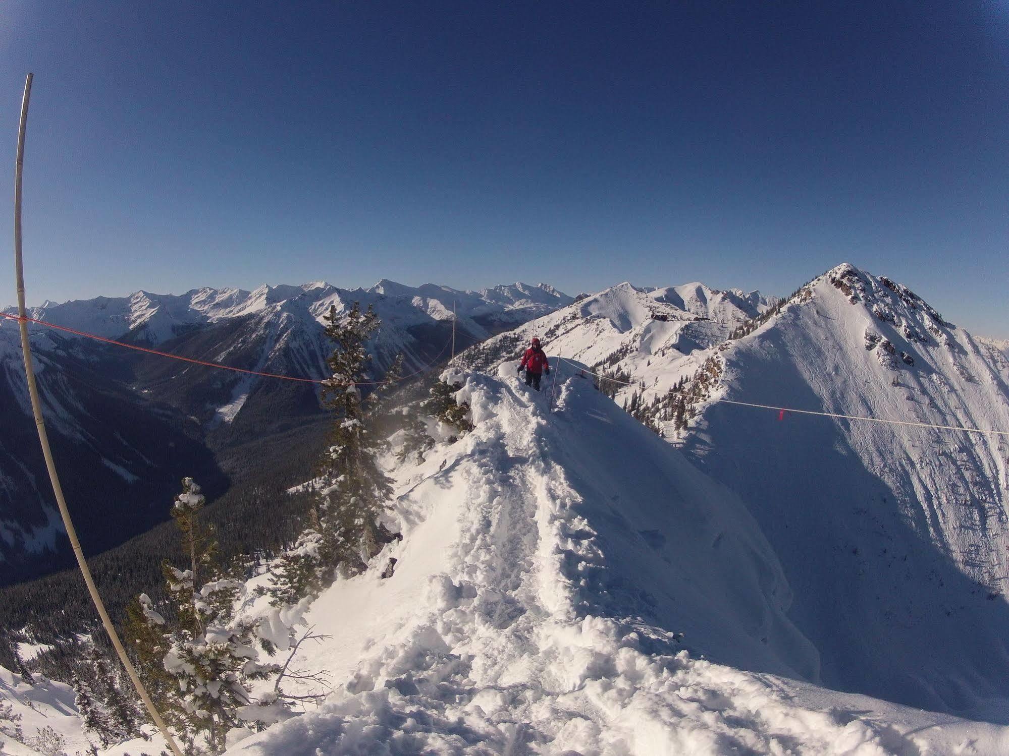 غولدن Vagabond Lodge At Kicking Horse المظهر الخارجي الصورة