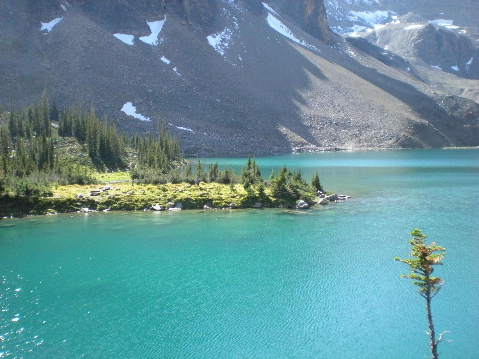 غولدن Vagabond Lodge At Kicking Horse المظهر الخارجي الصورة